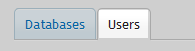 Database user tab